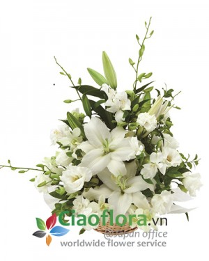 Sympathy arrangement 